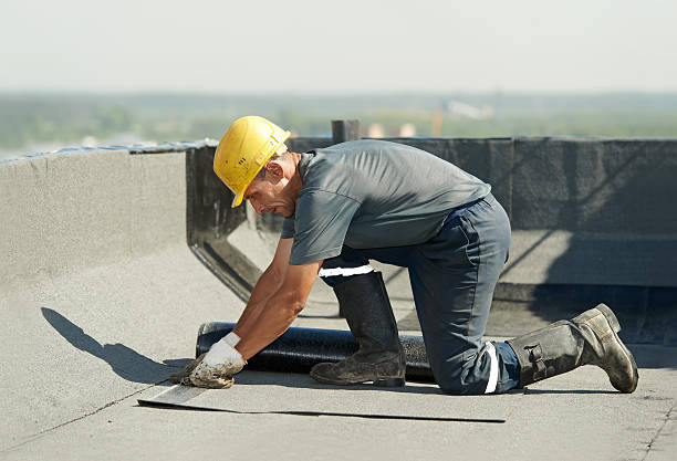 Best Spray Foam Insulation  in Dodge Center, MN