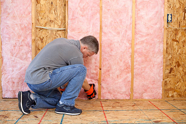 Best Insulation Removal  in Dodge Center, MN